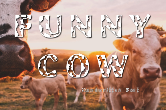 Funny Cow: A Friendly Display Font for Small Business Branding