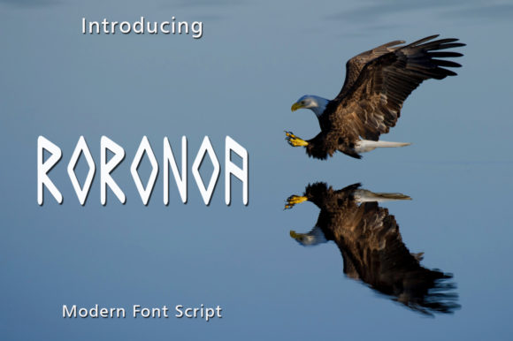 Roronoa: A Bold Display Font
